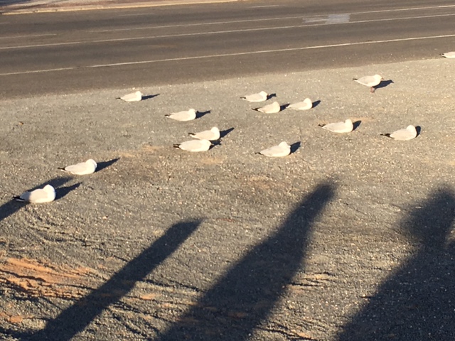 638C7E29-F024-41B5-BC82-2233C9B0CBF1