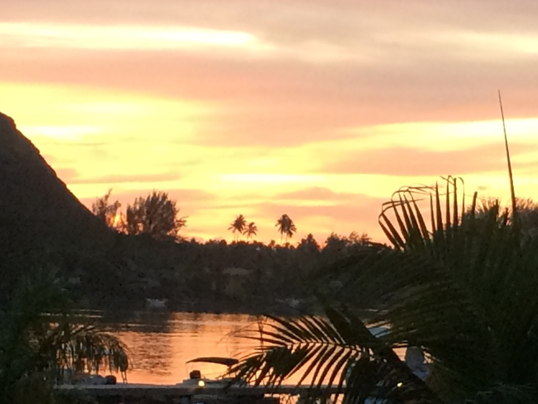 1EF60C95-39DC-4ECA-B02C-222F20B97665